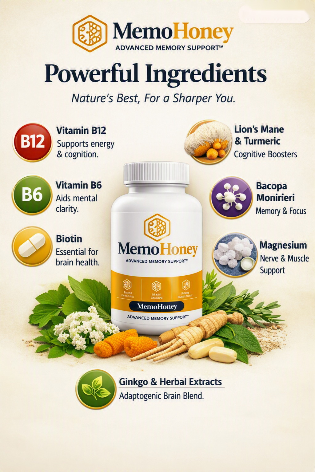 MemoHoney ingredients — 8 nootropic compounds